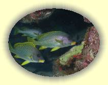 IMG_2007_05_27 15_07_42 * 2272 x 1704 * (560KB)